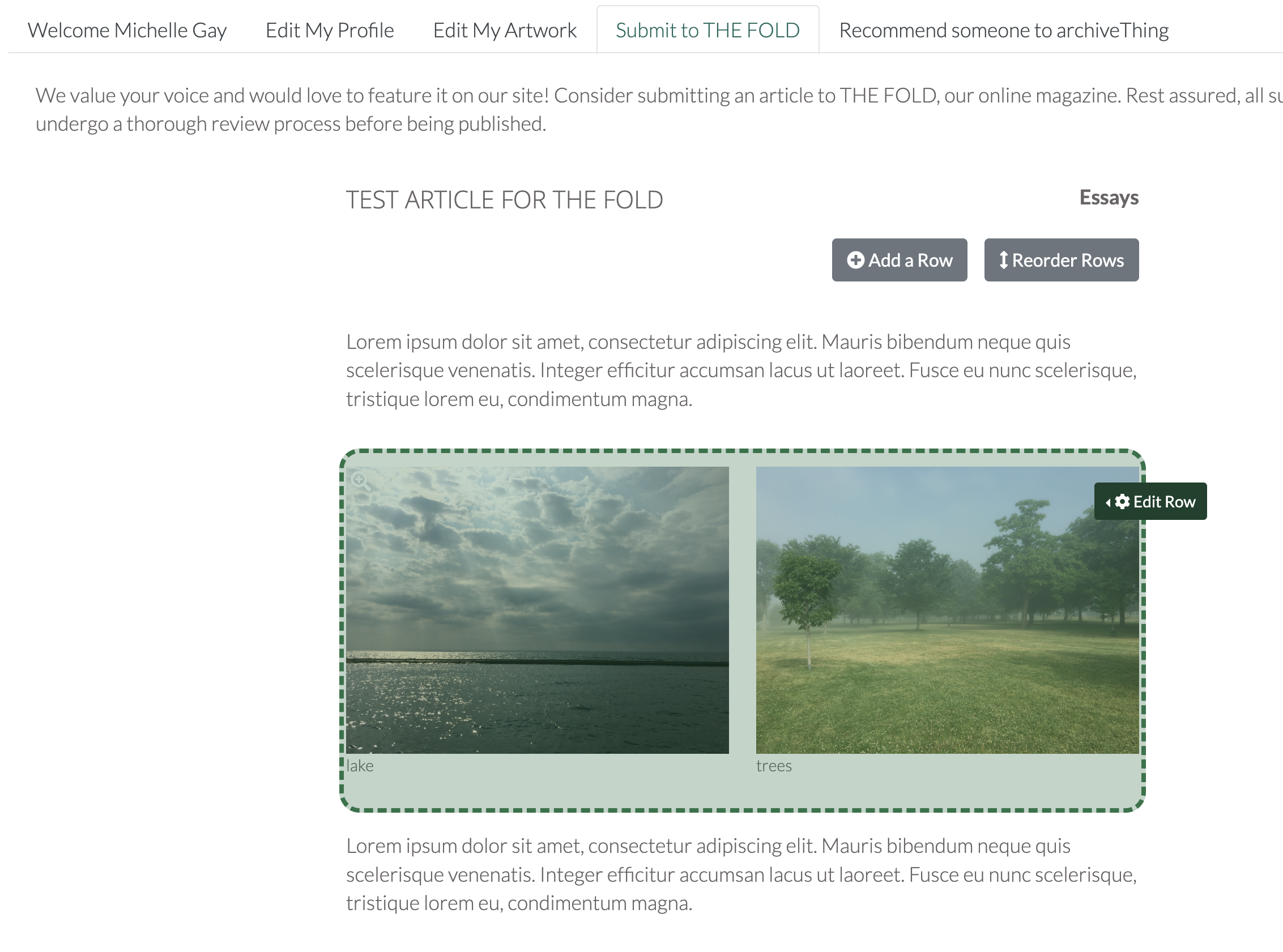 THE FOLD buttons - Build the article content by ADDING ROWS. Select your content type (text, image, video) the image f1k80avcmf.png set by the CMS